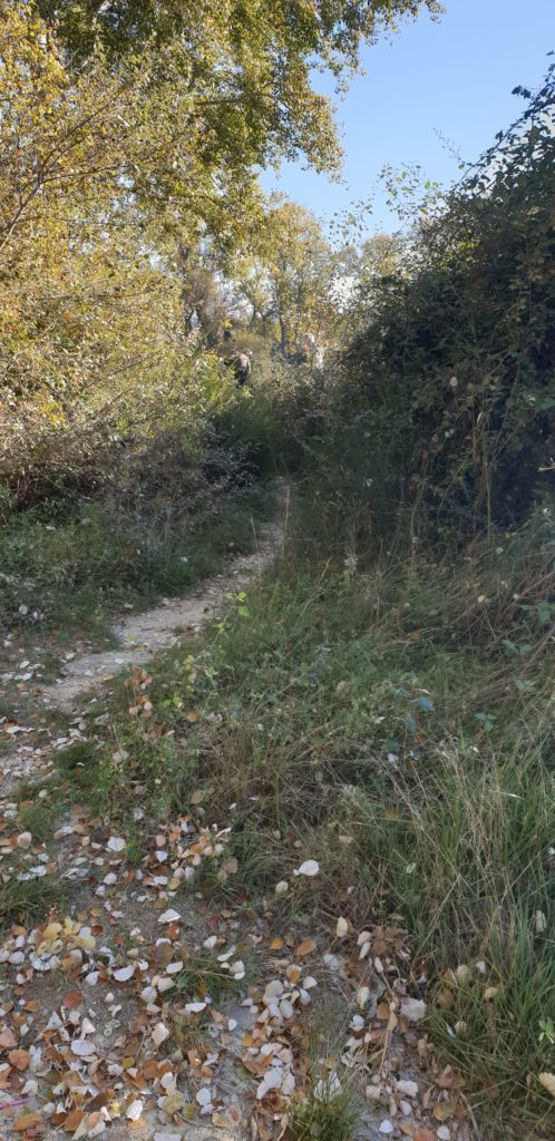 El acceso al rio